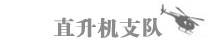 直升机支队